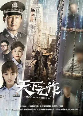 天下无诈第27集